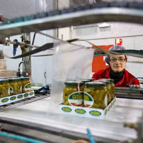 Máy co màng đóng lốc chai