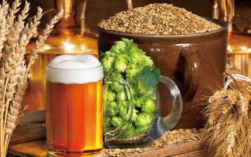 Quy Trình Sản Xuất Bia Công Nghiệp: Từ Nguyên Liệu Đến Chai Thành Phẩm Quy Trình Sản Xuất Bia Công Nghiệp